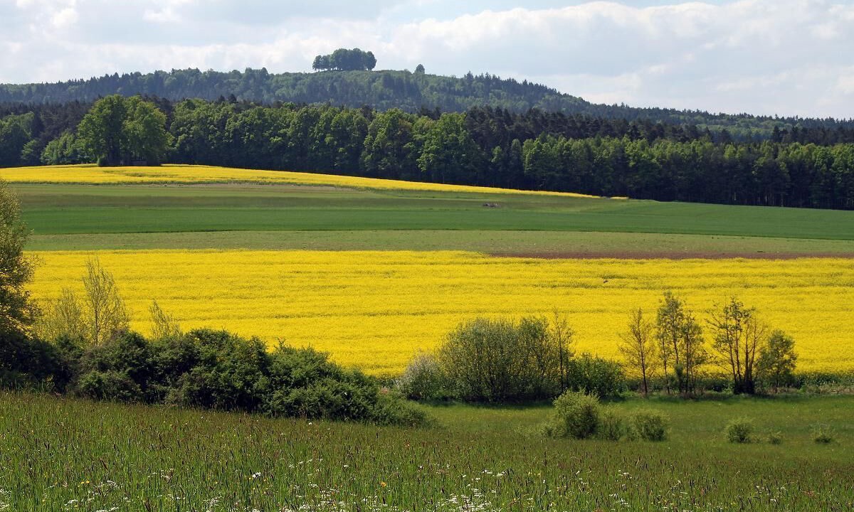 Photo of Others in Staffelstein