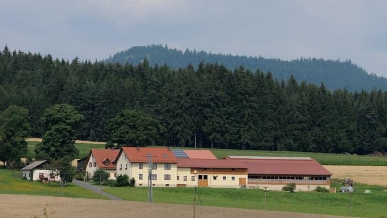 Photo of Outdoor in Pullenreuth
