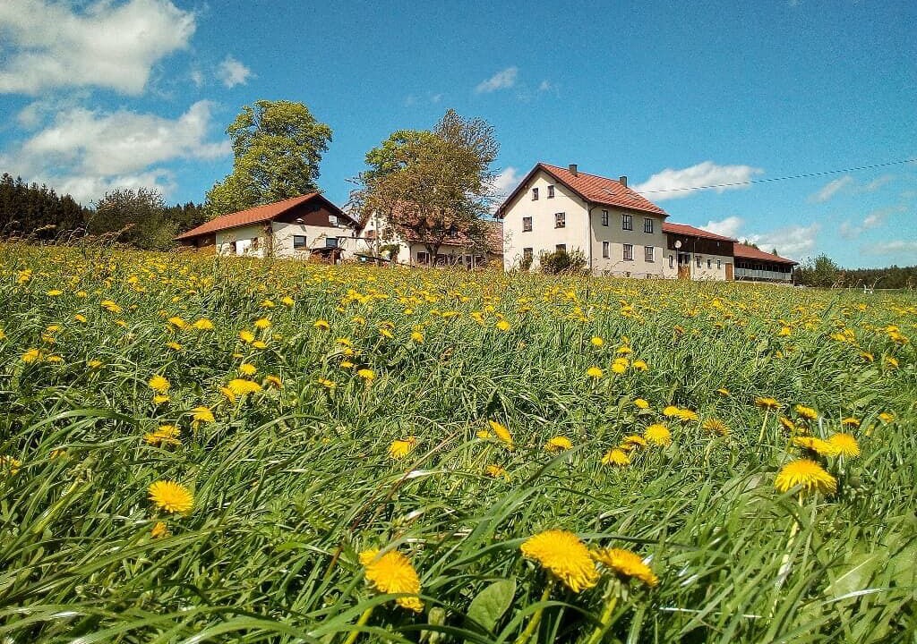 Photo of Outdoor in Pullenreuth