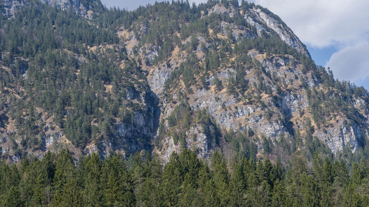 Photo of Others in Sonnenbichl
