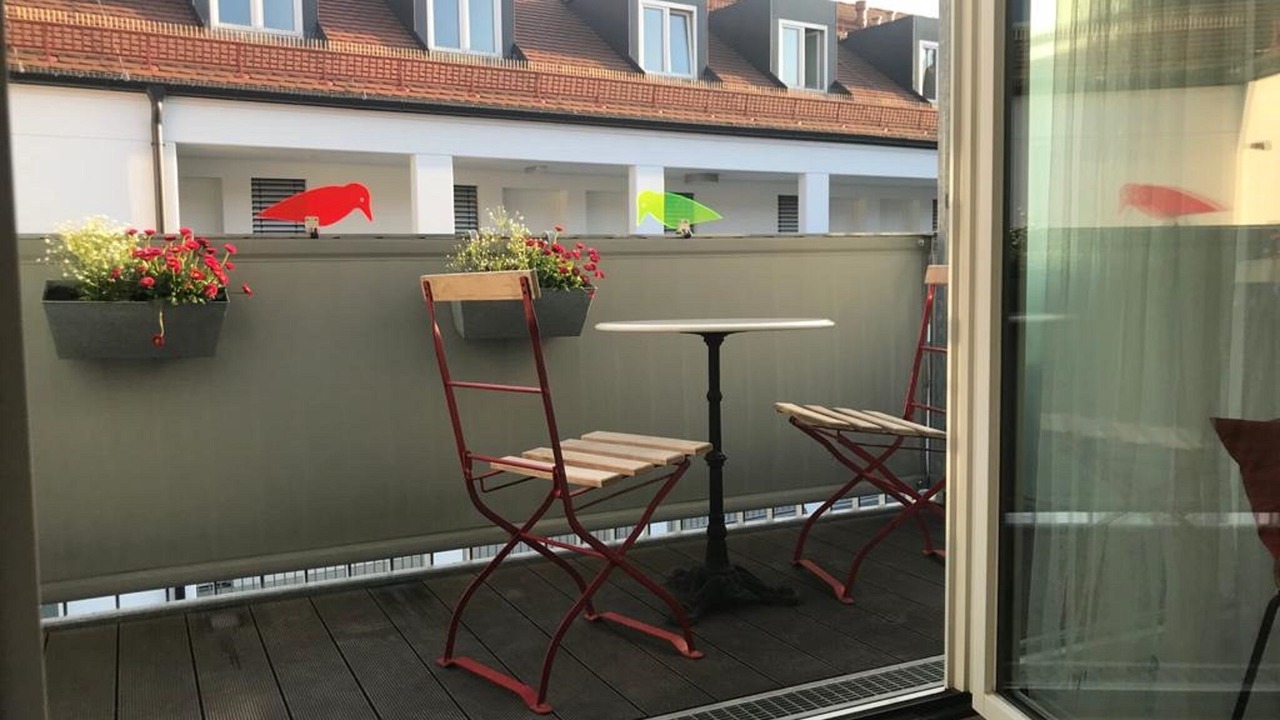 Photo of Outdoor in City Centre Regensburg