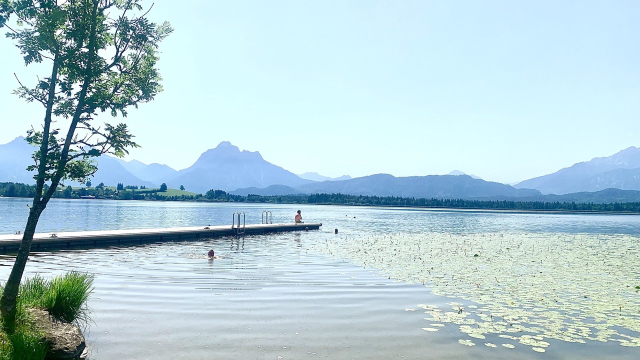 Photo of Others in Heitlern