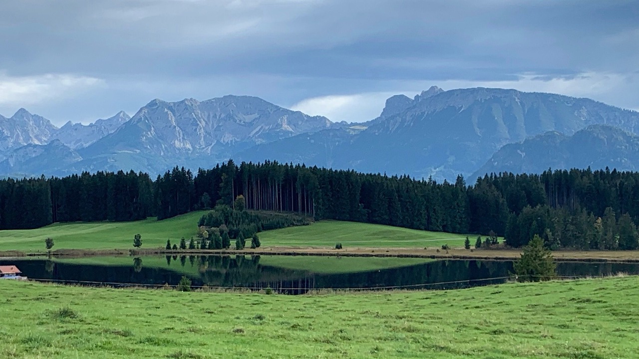 Photo of Others in Heitlern