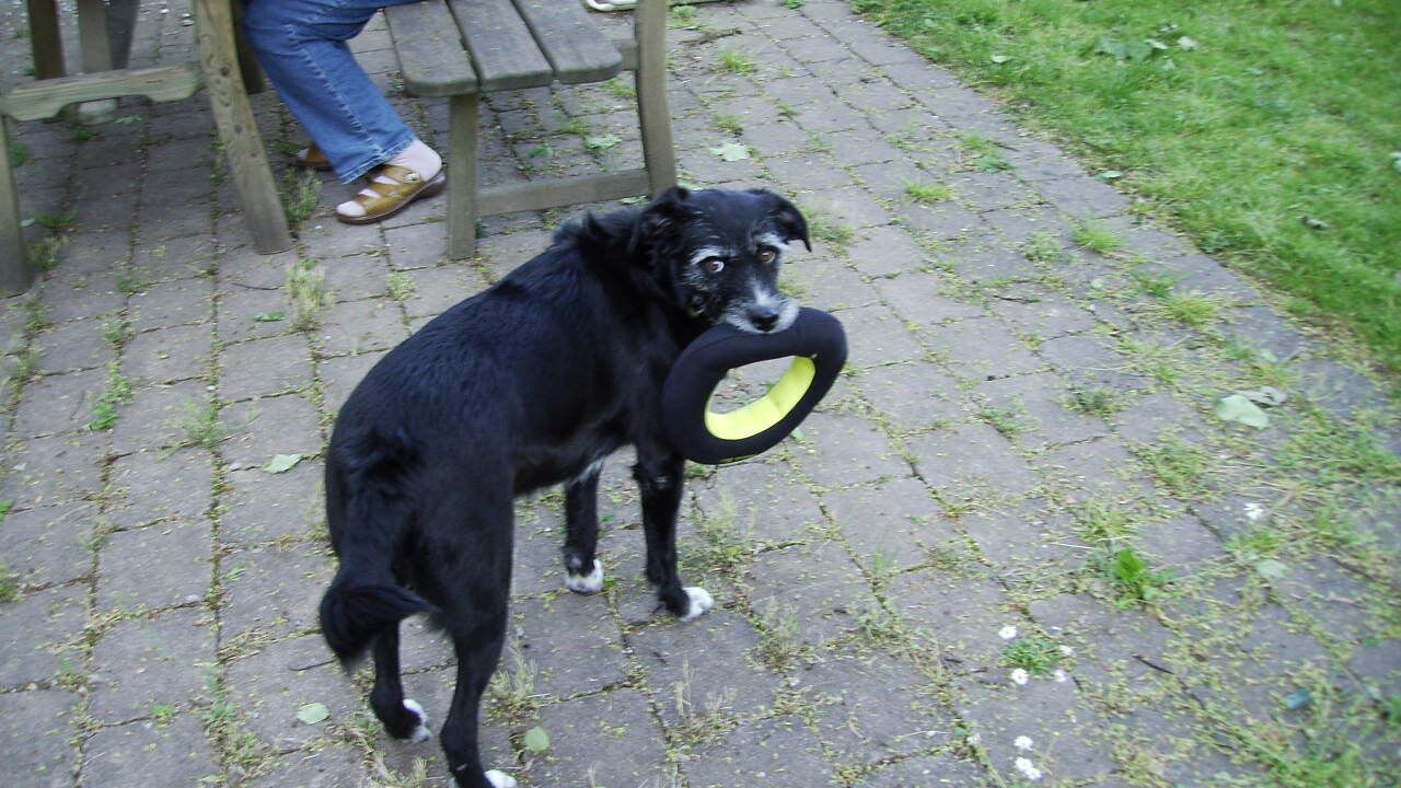 Photo of Others in Unterallgau