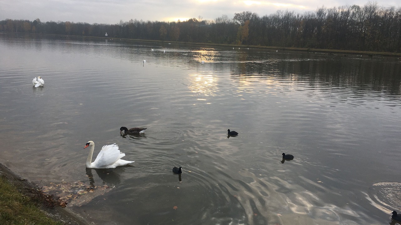 Photo of Others in Elchingen