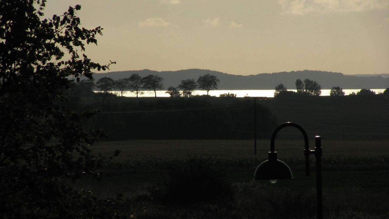 Photo of Others in Neddesitz