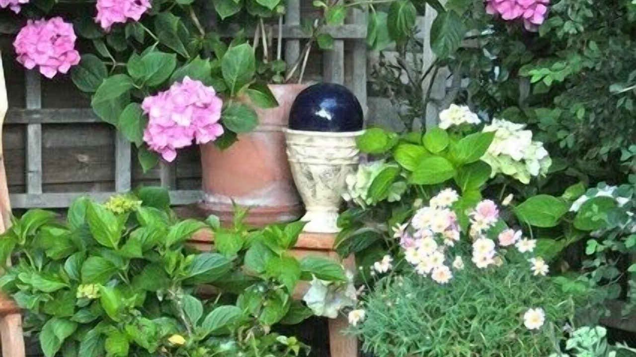 Photo of Outdoor in Samerberg