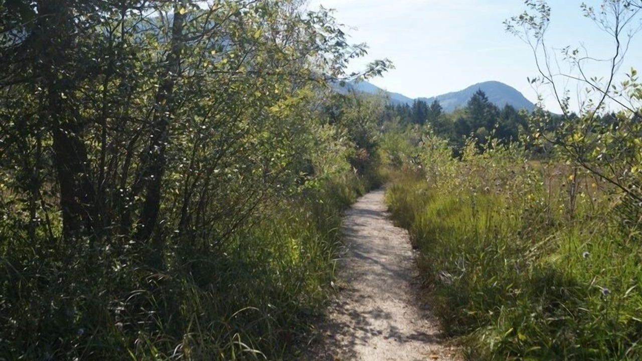 Photo of Outdoor in Feldwies