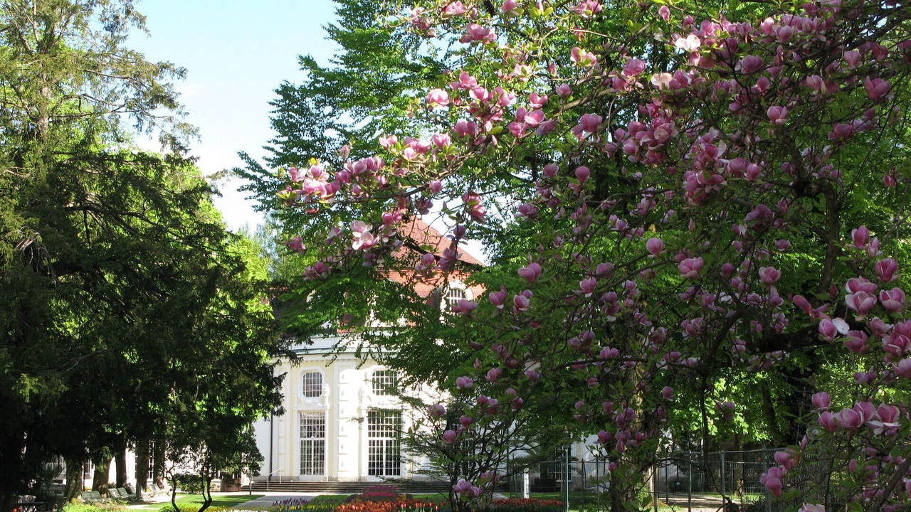 Photo of Outdoor in Gmain