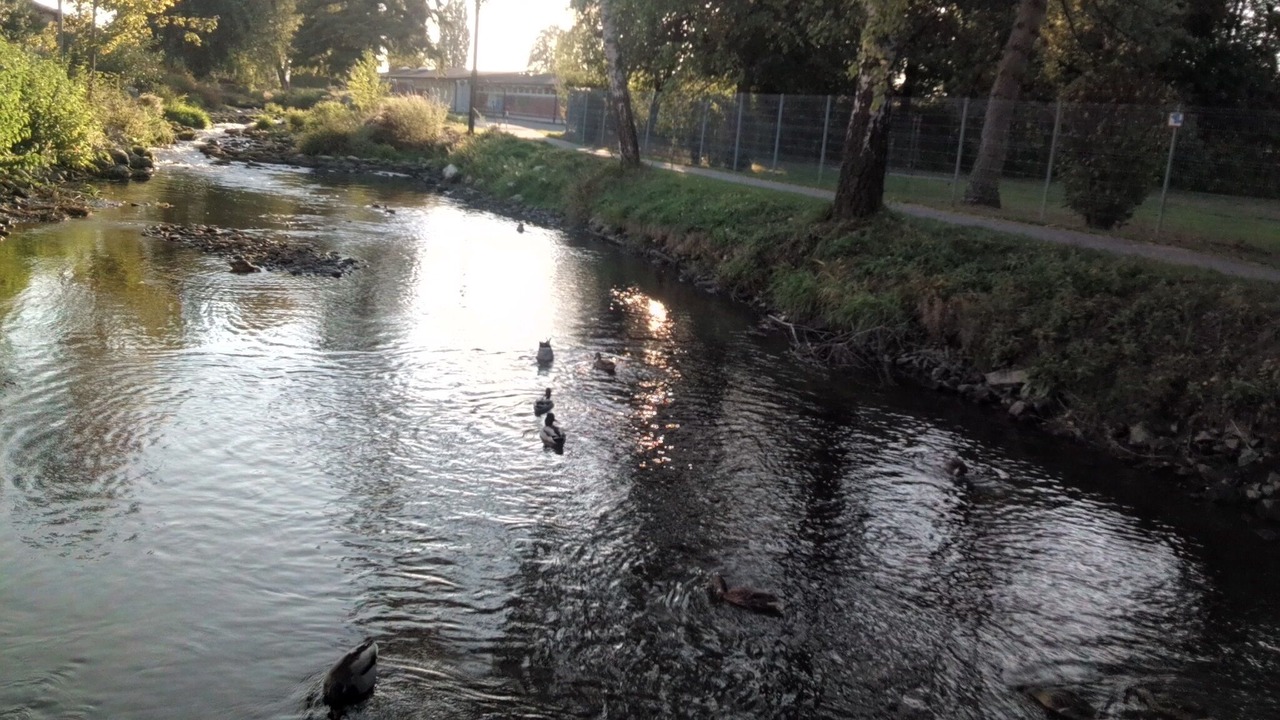 Photo of Outdoor in Mengen