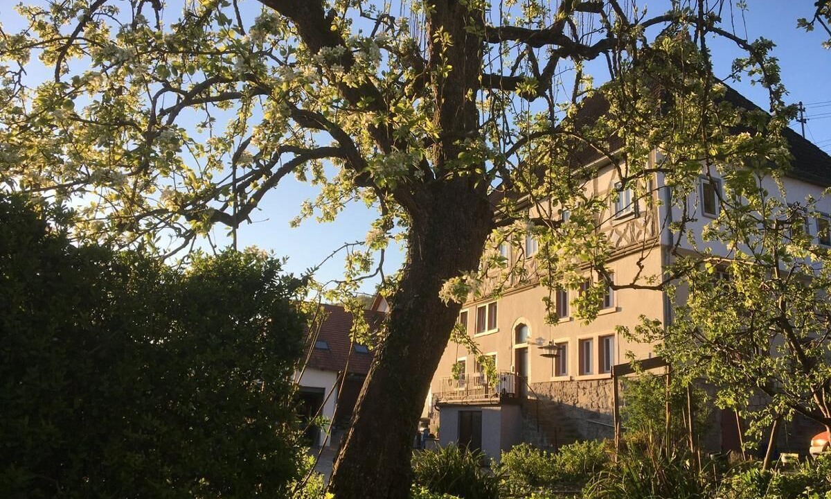 Photo of Outdoor in Lauda