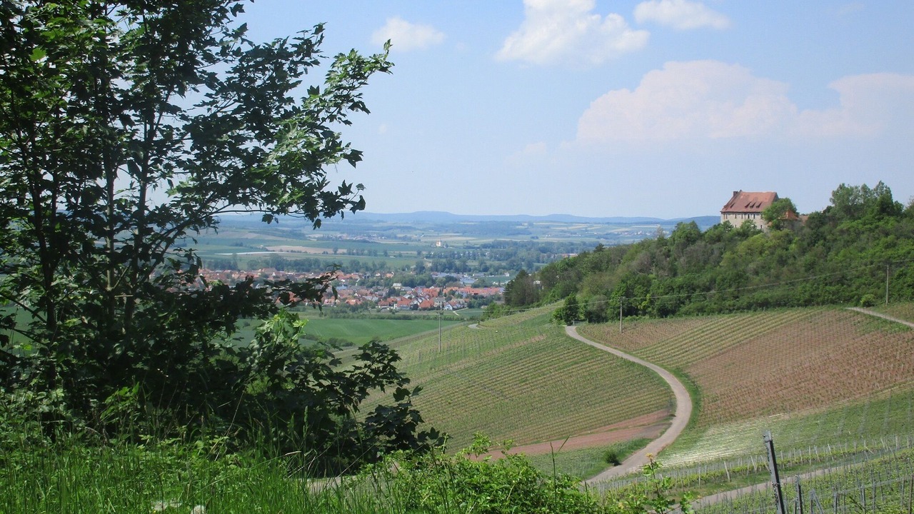 Photo of Others in Bad Windsheim