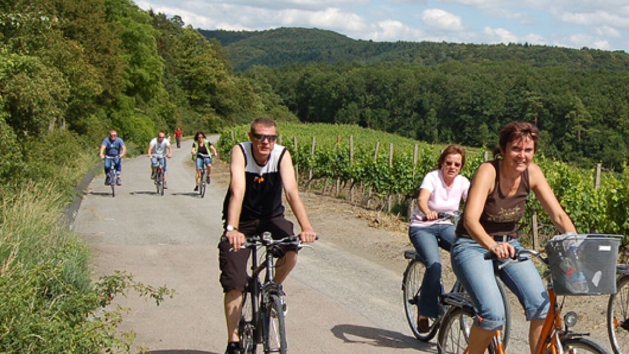 Photo of Others in Bad Windsheim