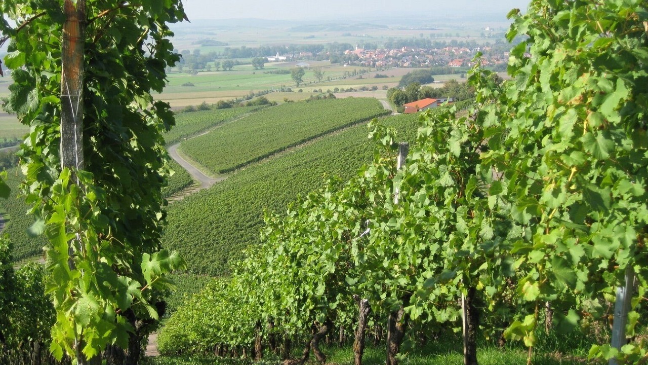 Photo of Others in Bad Windsheim