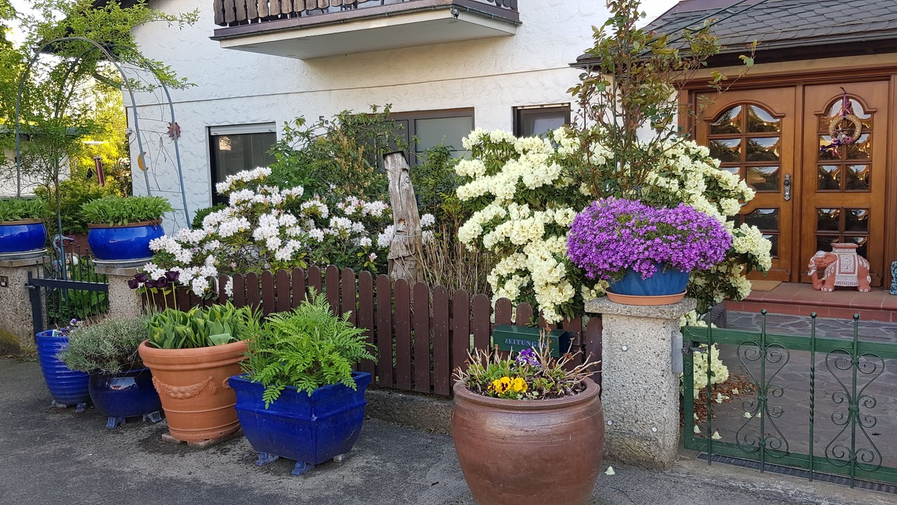 Photo of Outdoor in Kueps