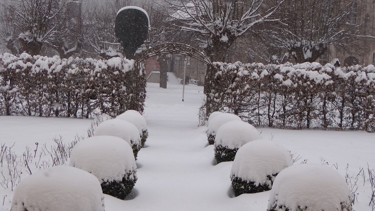 Photo of Outdoor in Klosterlangheim