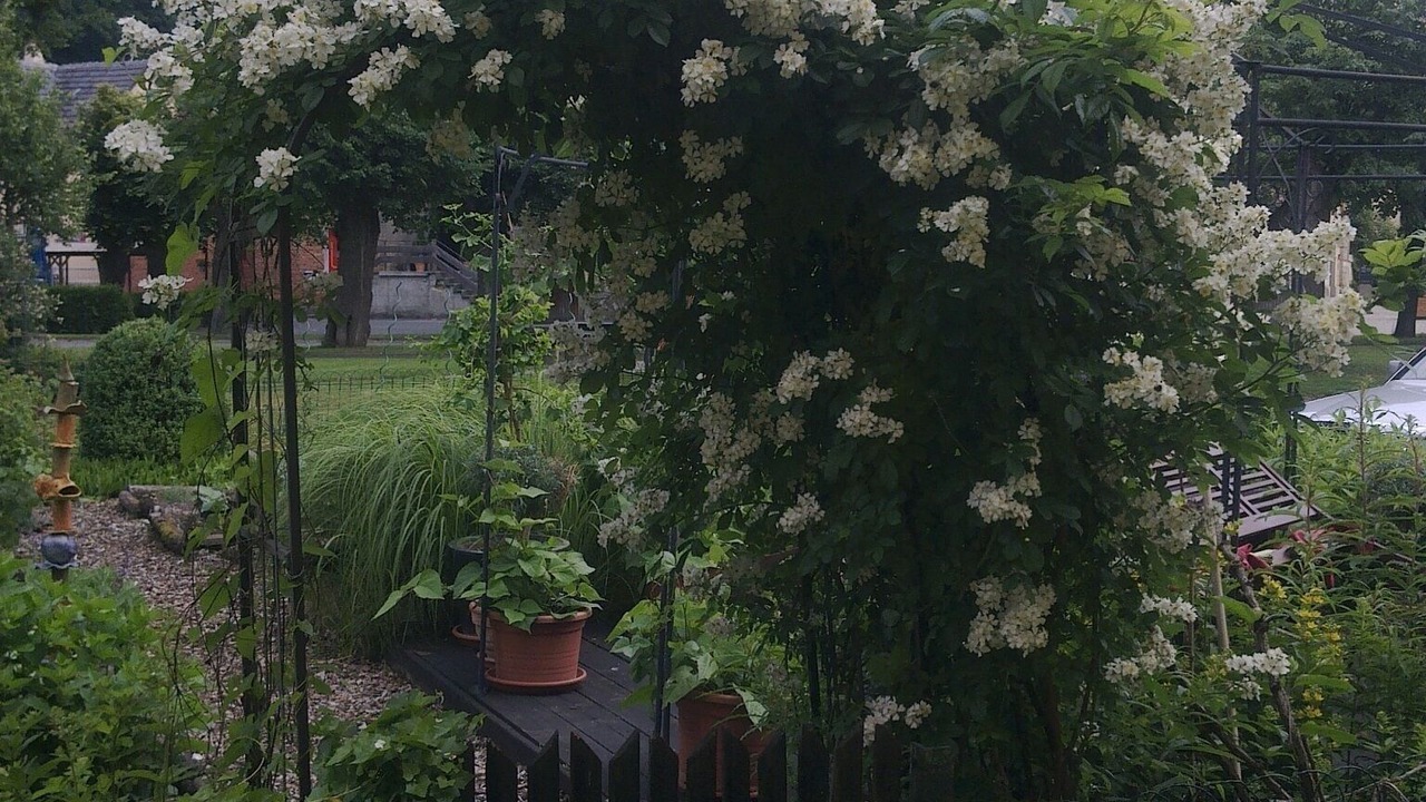 Photo of Outdoor in Klosterlangheim