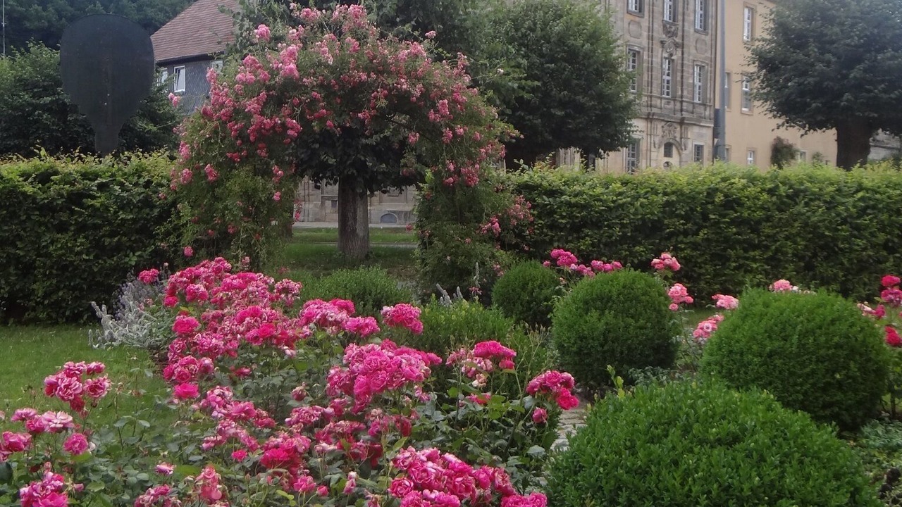 Photo of Outdoor in Klosterlangheim