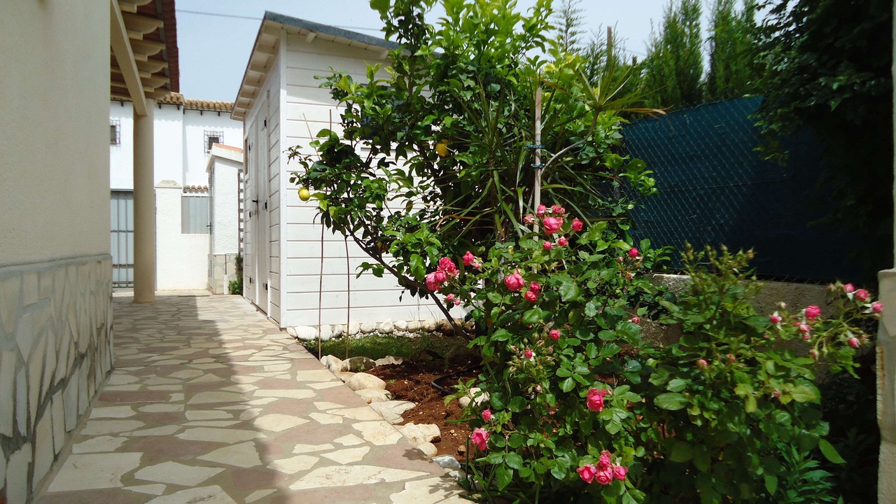 Photo of Outdoor in Els Poblets