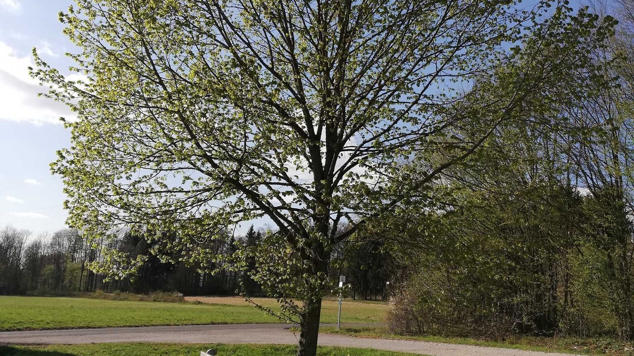 Photo of Others in Graefenberg