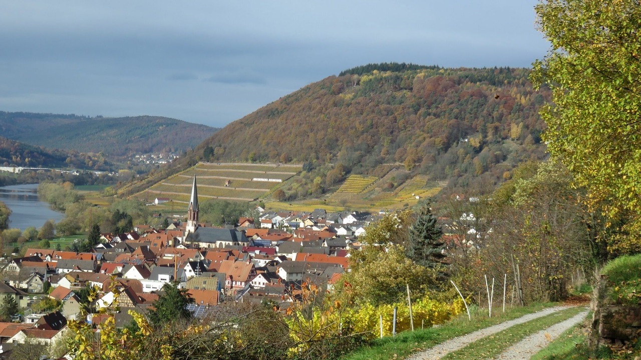 Photo of Outdoor in Grossheubach