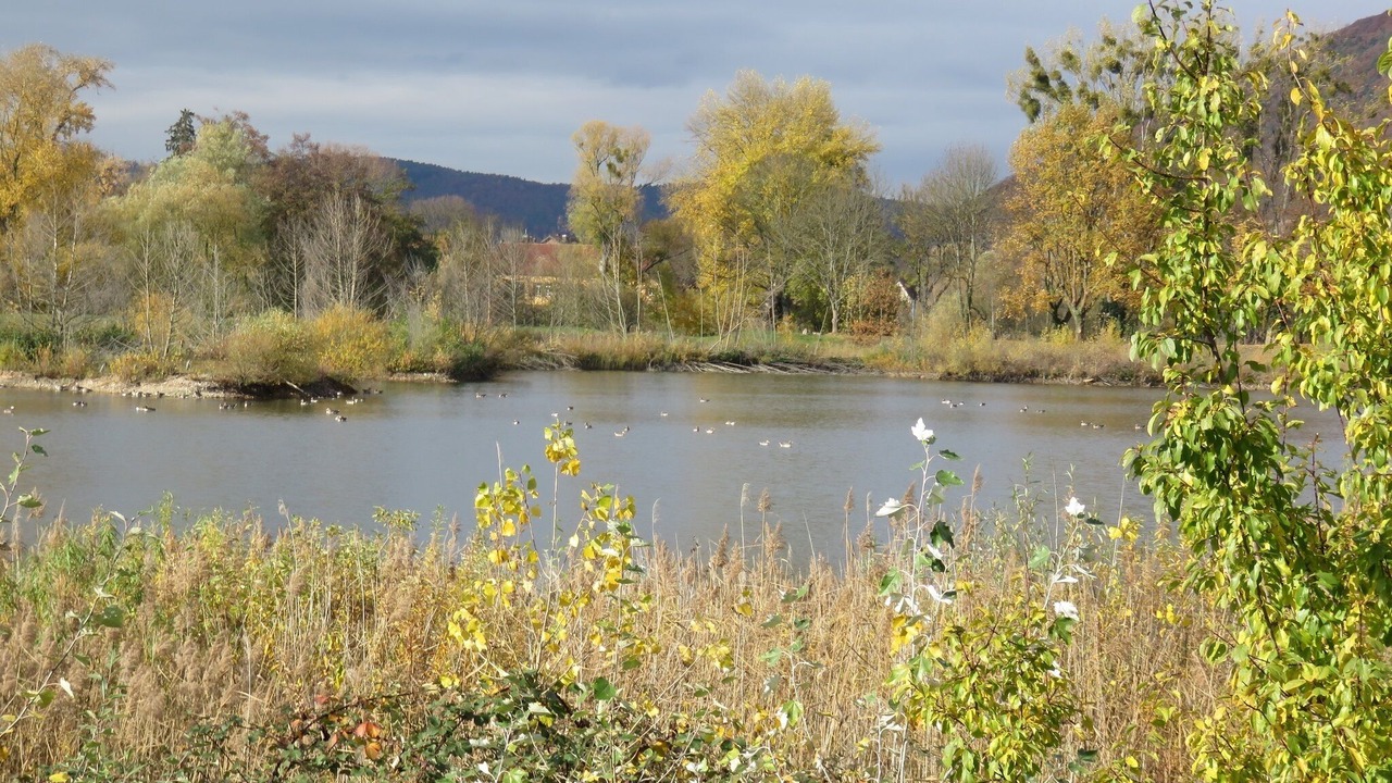 Photo of Others in Grossheubach