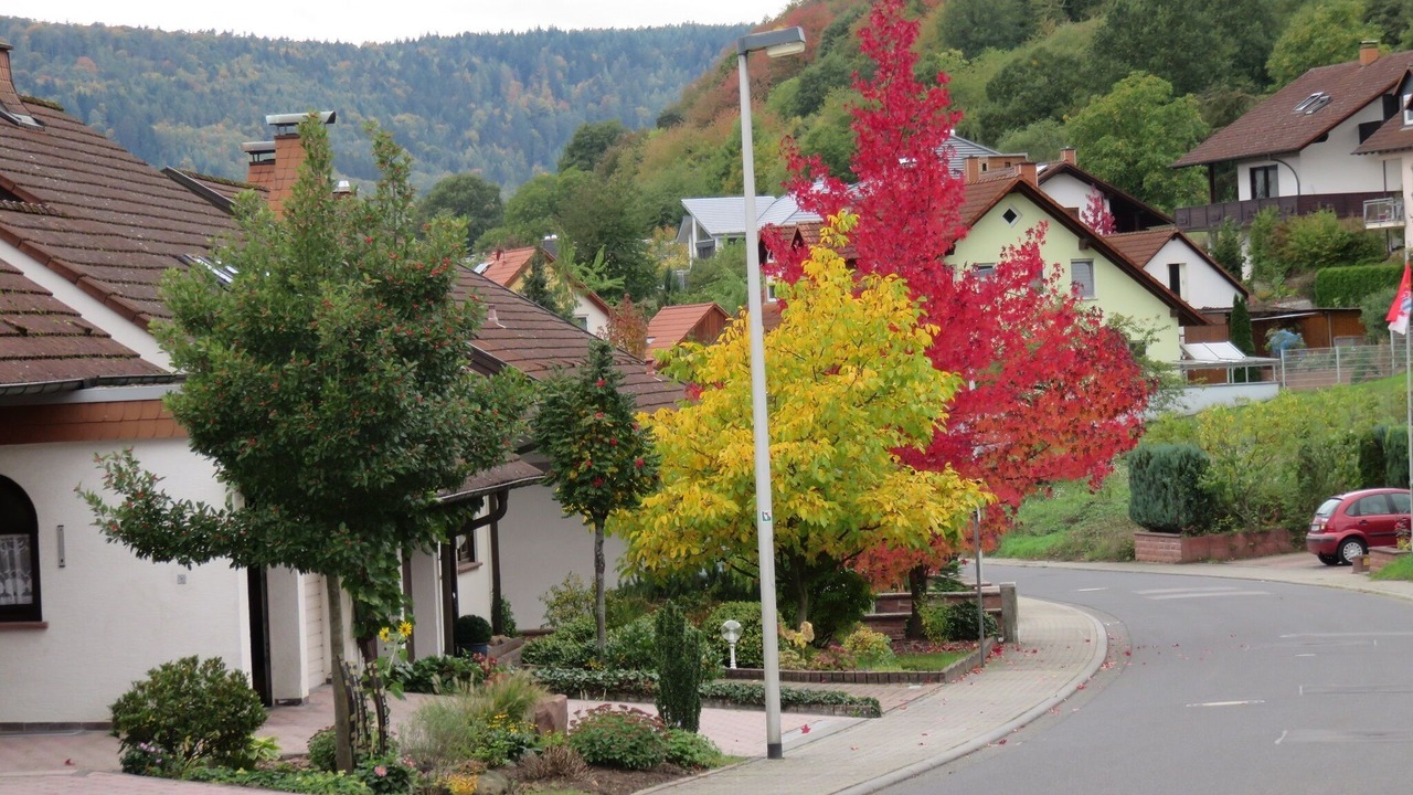 Photo of Outdoor in Grossheubach