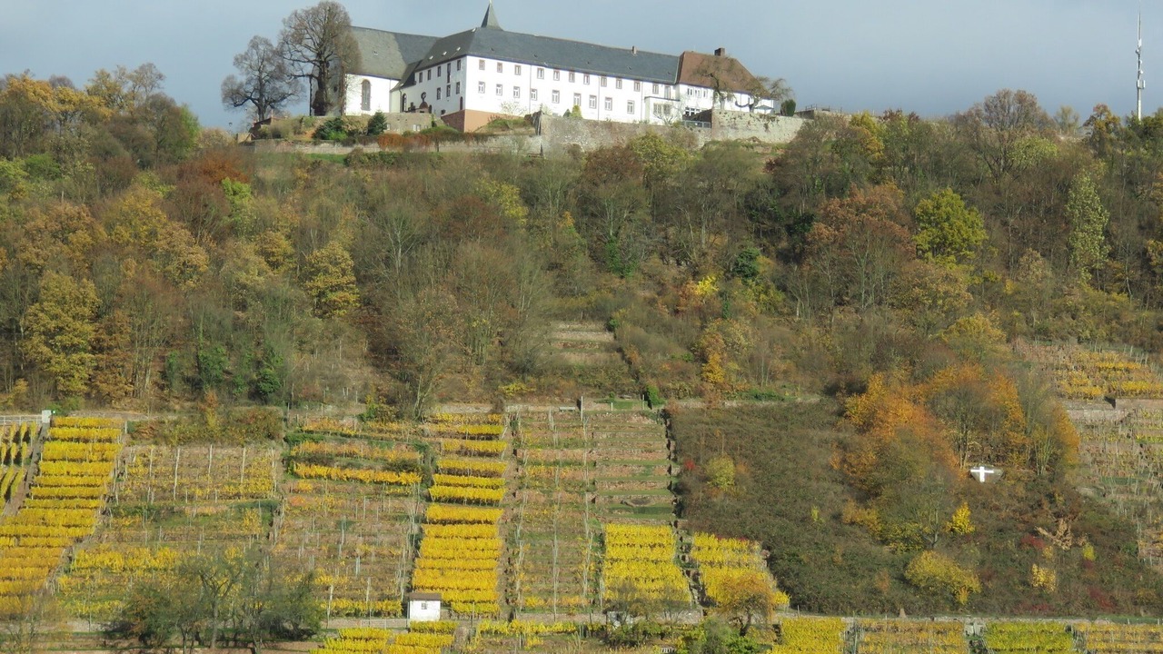 Photo of Outdoor in Grossheubach