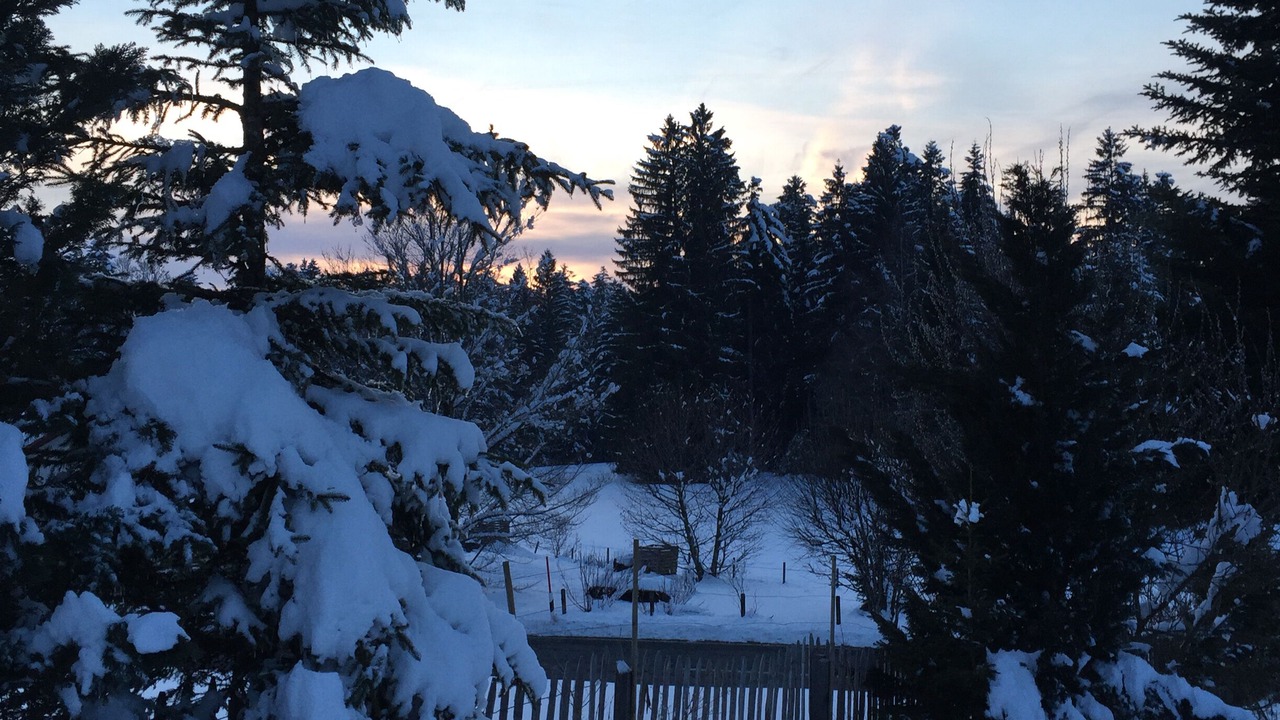 Photo of Outdoor in Oberreute