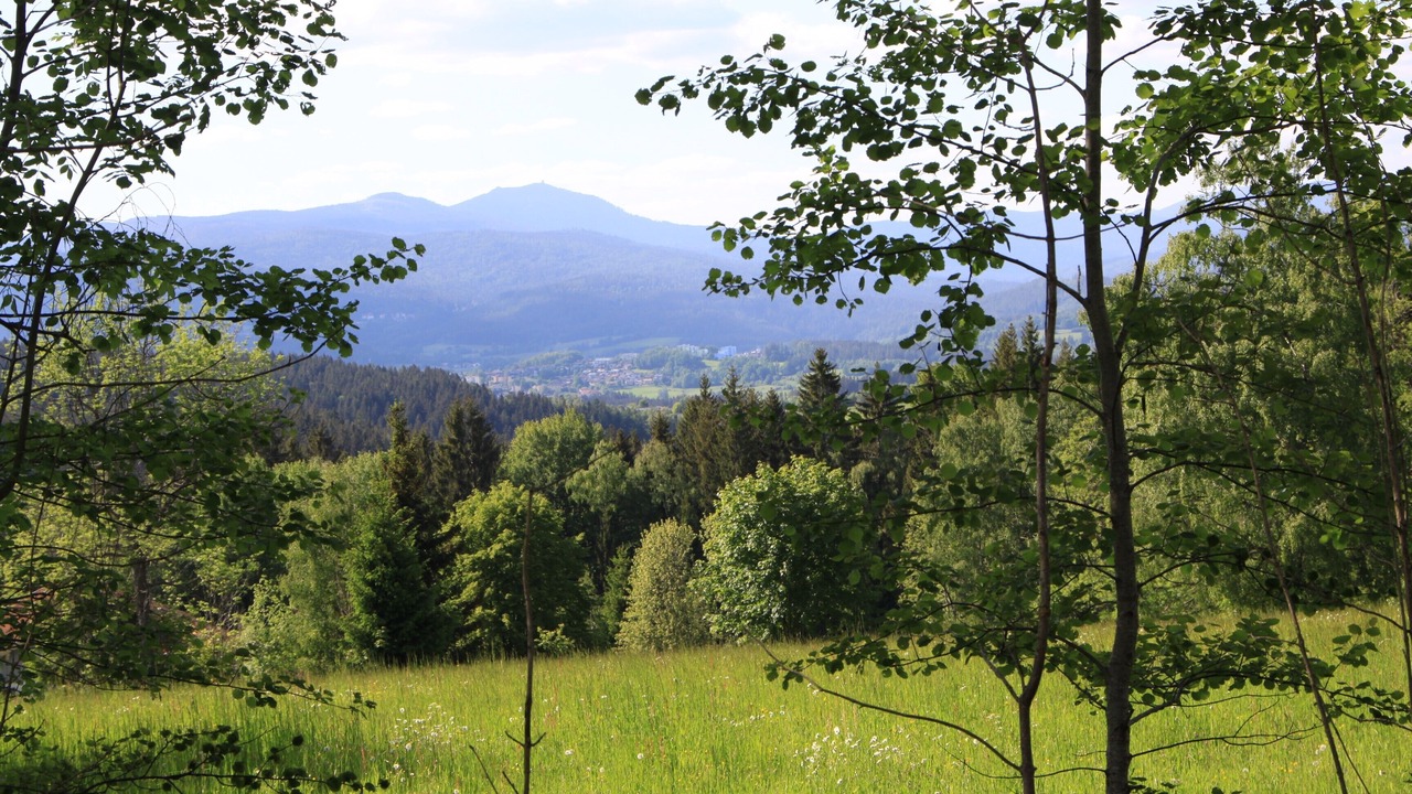 Photo of Outdoor in Frauenau