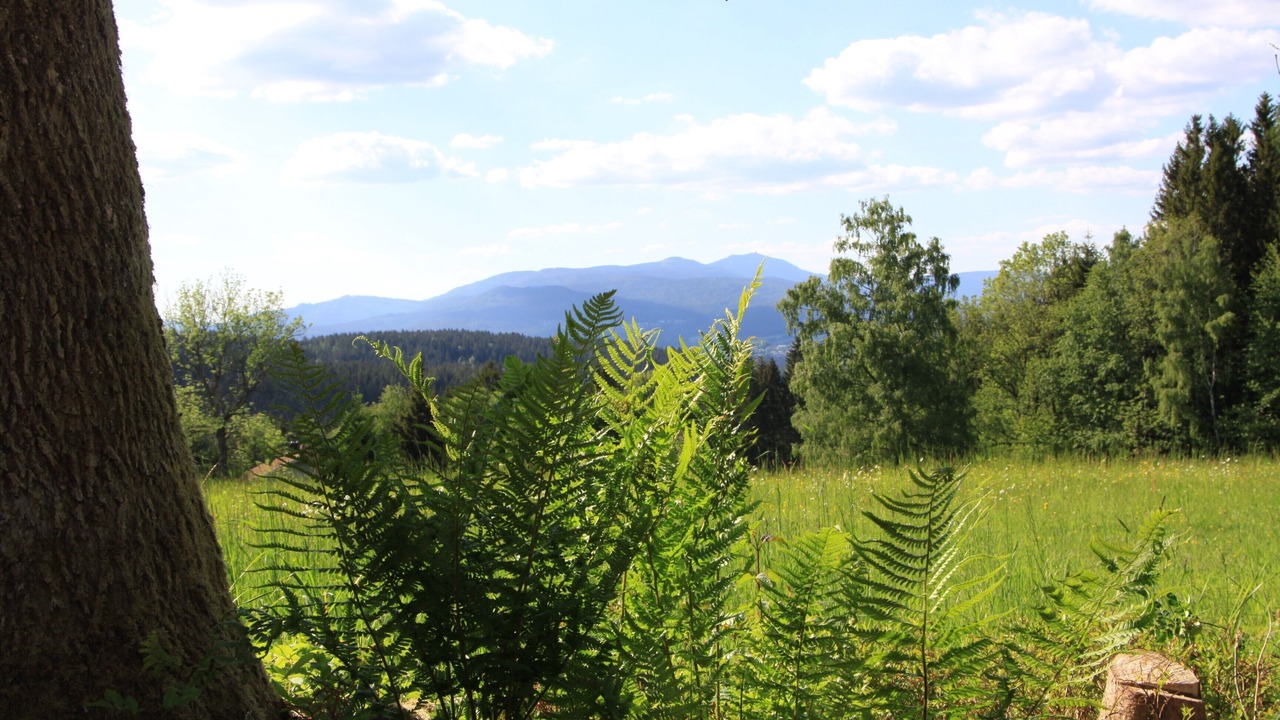 Photo of Outdoor in Frauenau