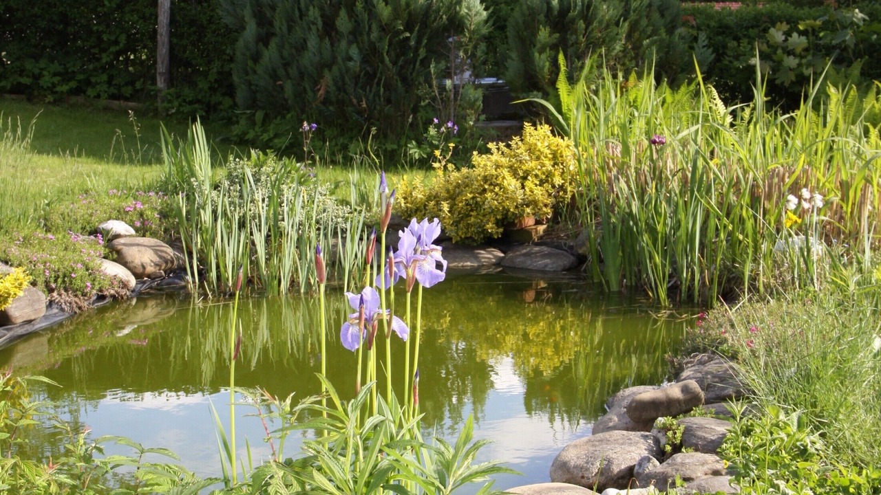 Photo of Outdoor in Frauenau