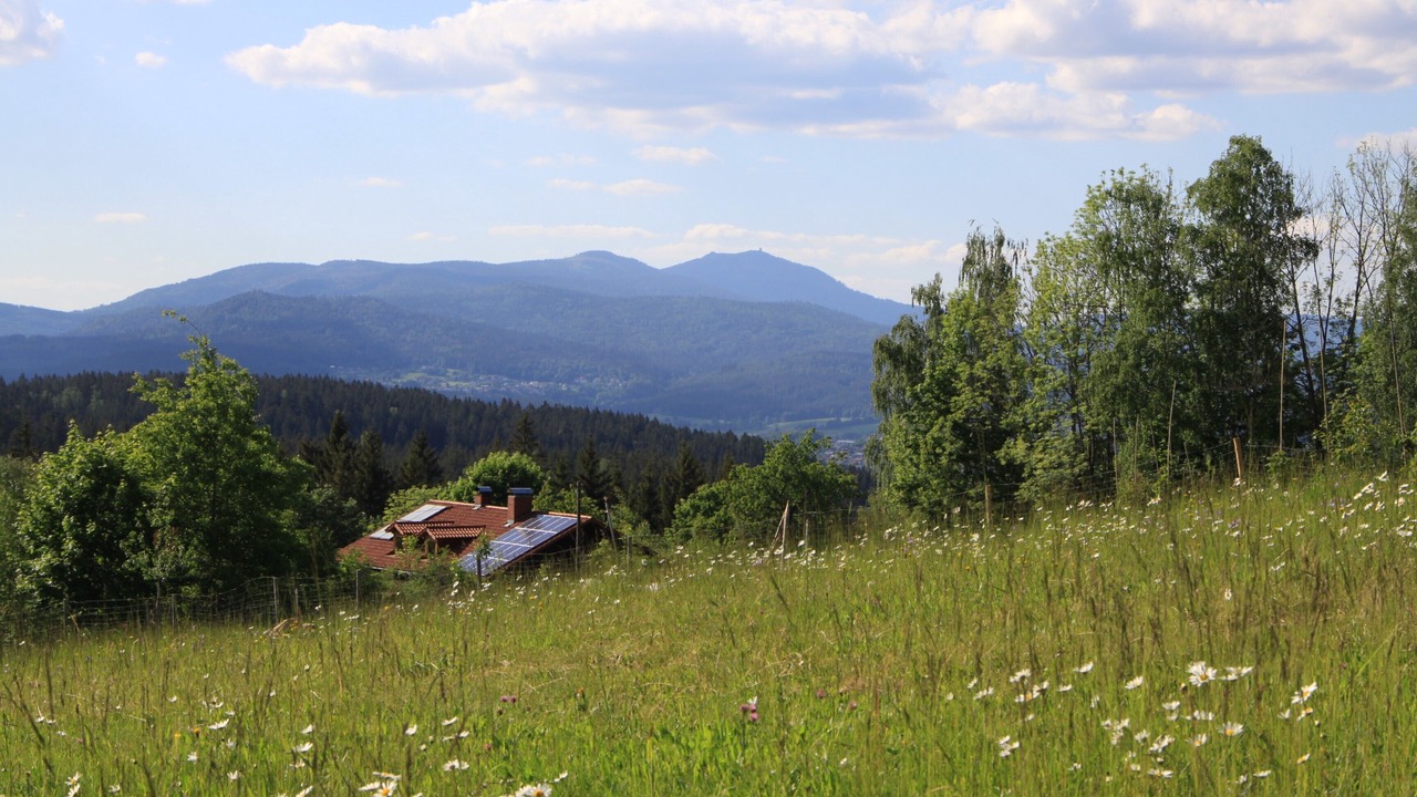Photo of Outdoor in Frauenau