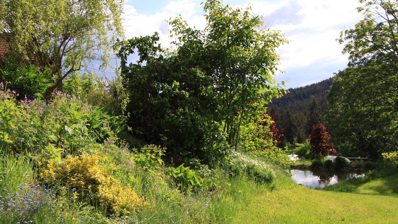 Photo of Outdoor in Frauenau