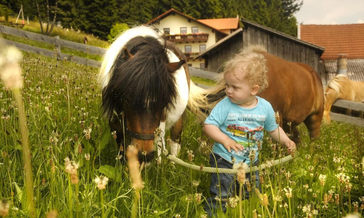 Photo of Outdoor in Maibrunn