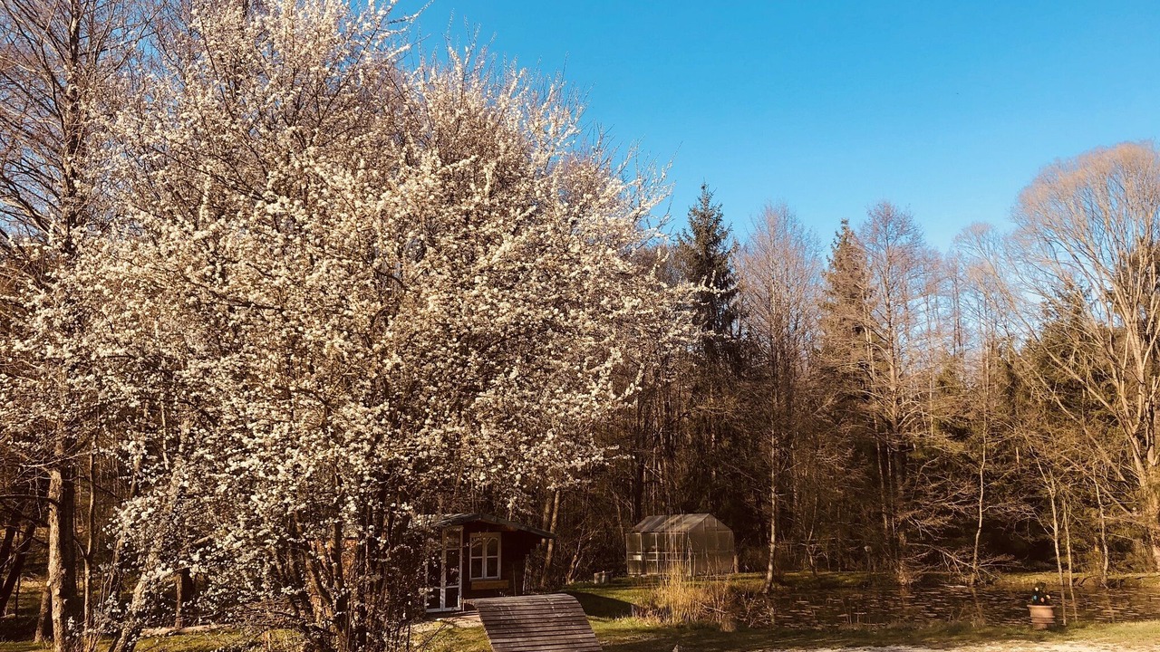 Photo of Outdoor in Burgthann
