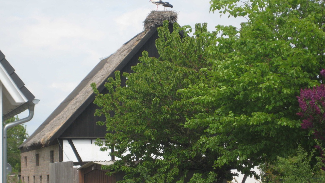 Photo of Outdoor in Stolpe auf Usedom