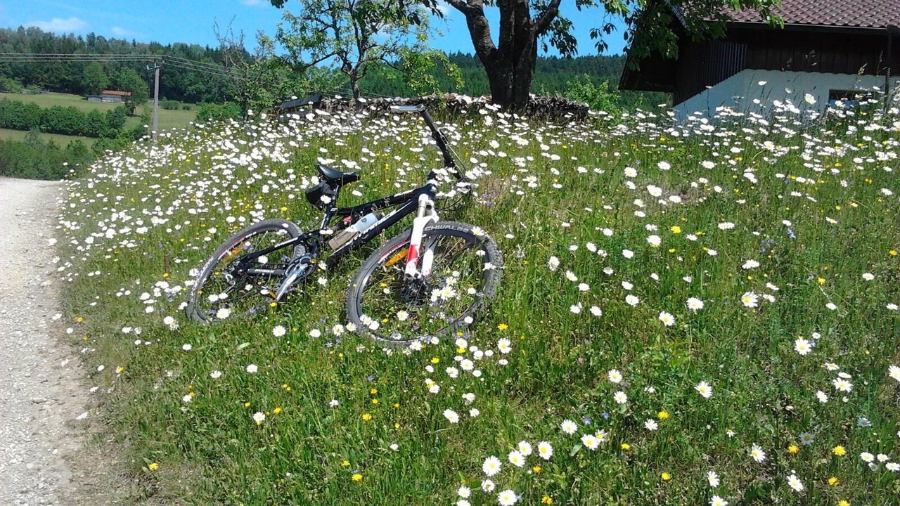 Photo of Outdoor in Habischried