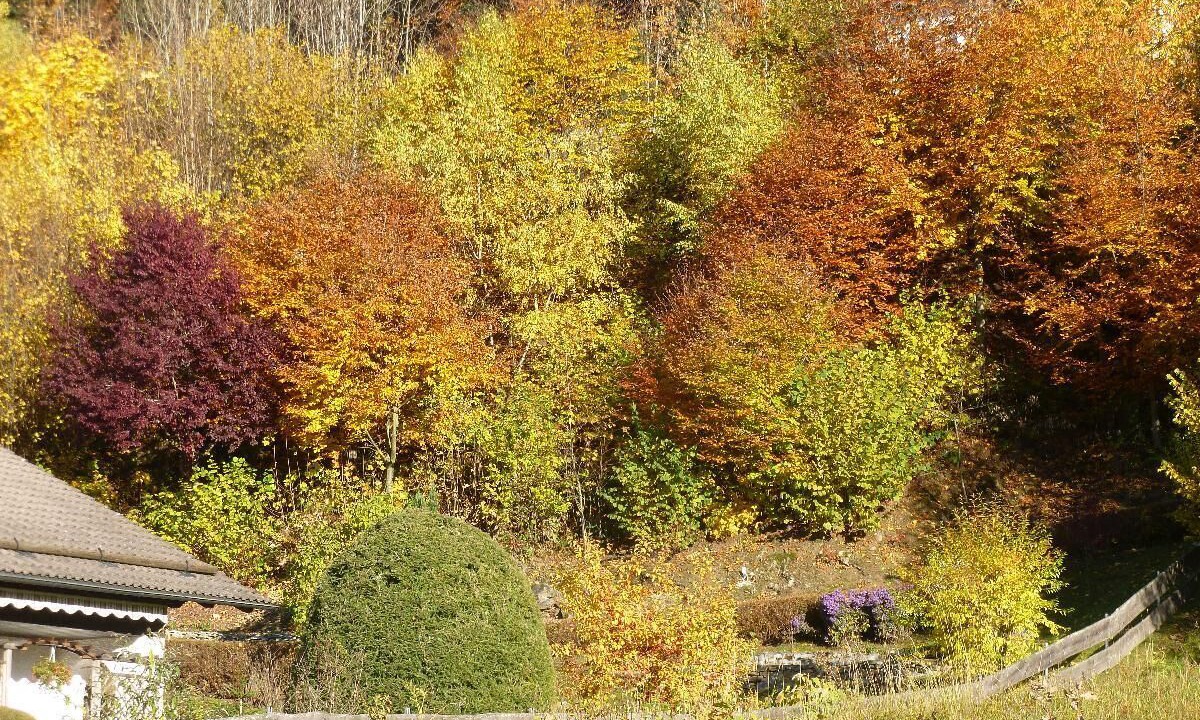 Photo of Outdoor in Habischried