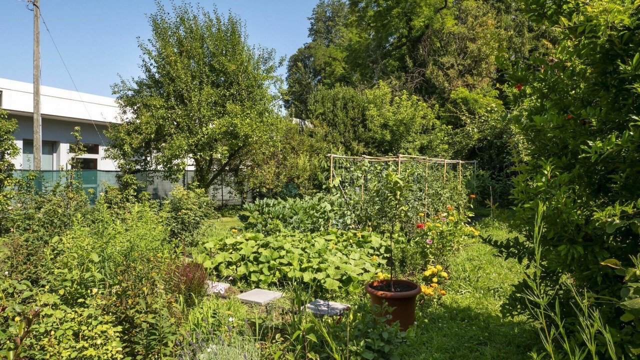 Photo of Others in San Daniele del Friuli
