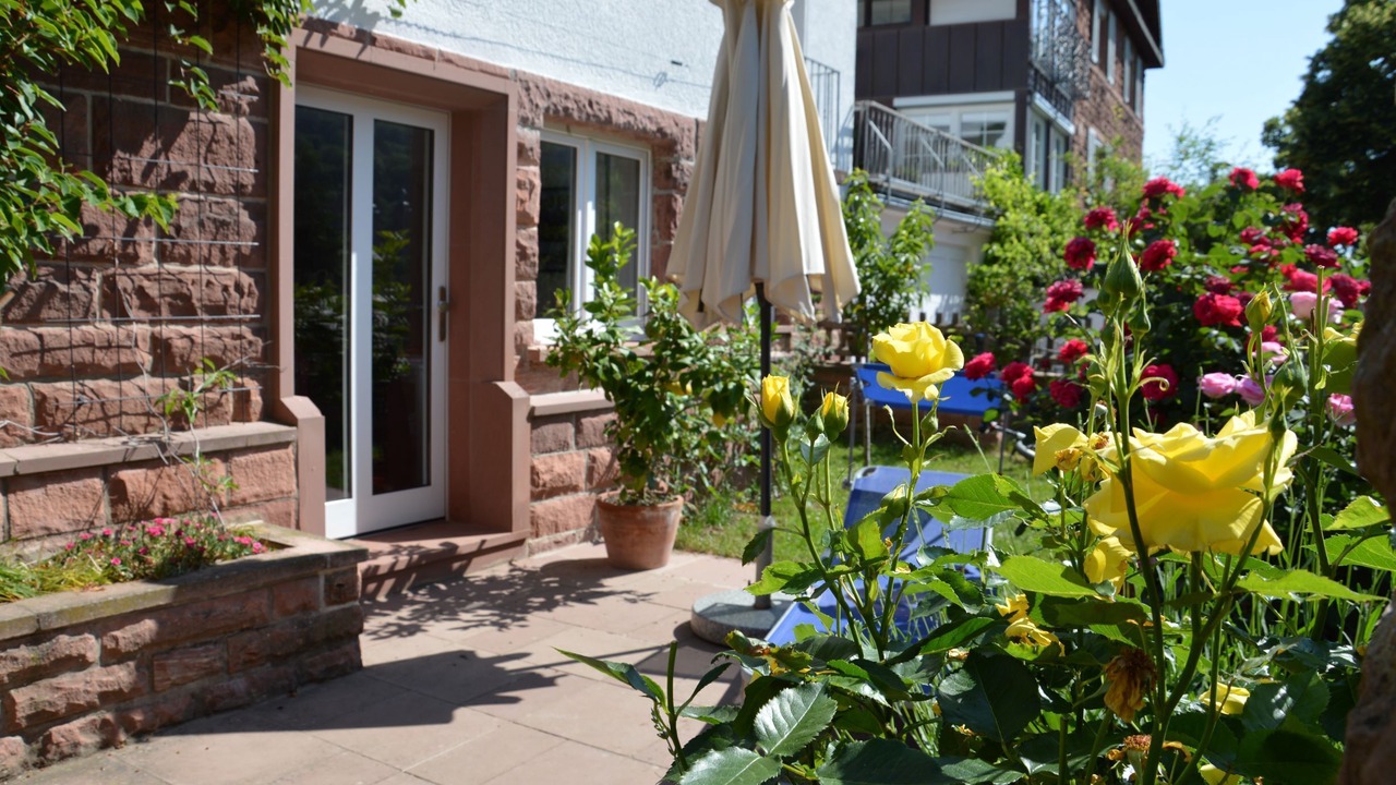 Photo of Outdoor in Miltenberg