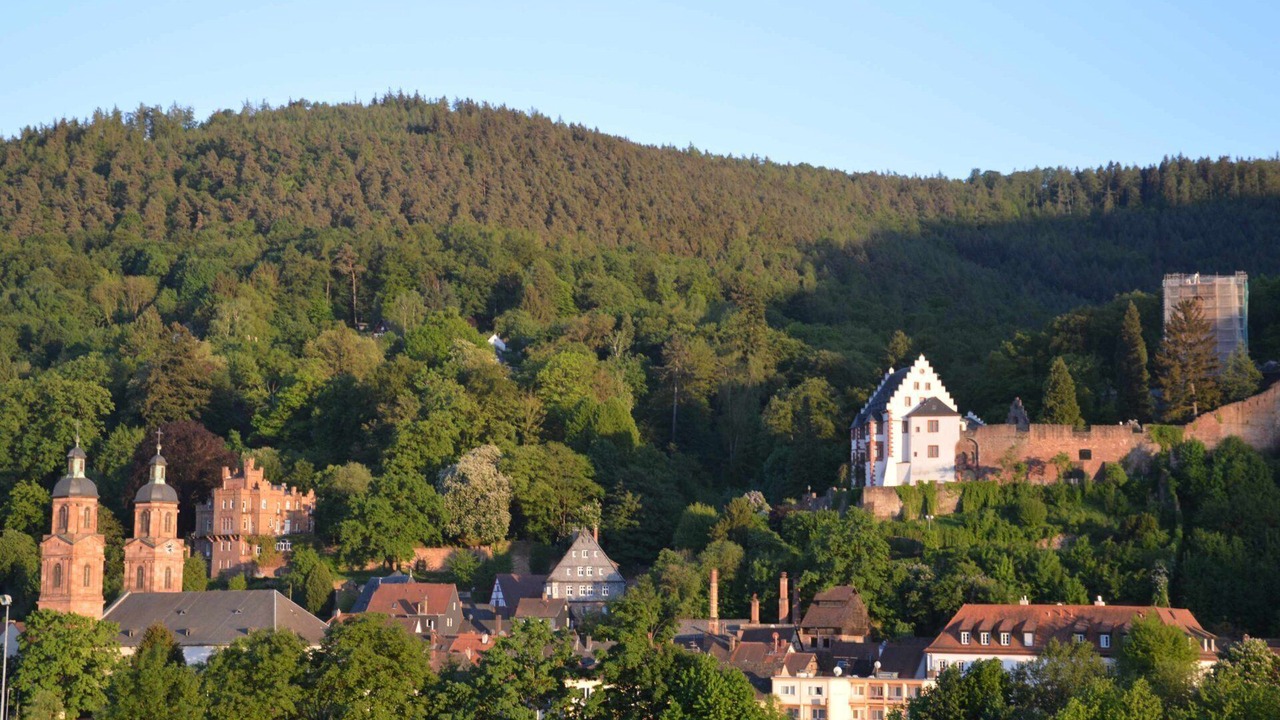 Photo of Outdoor in Miltenberg