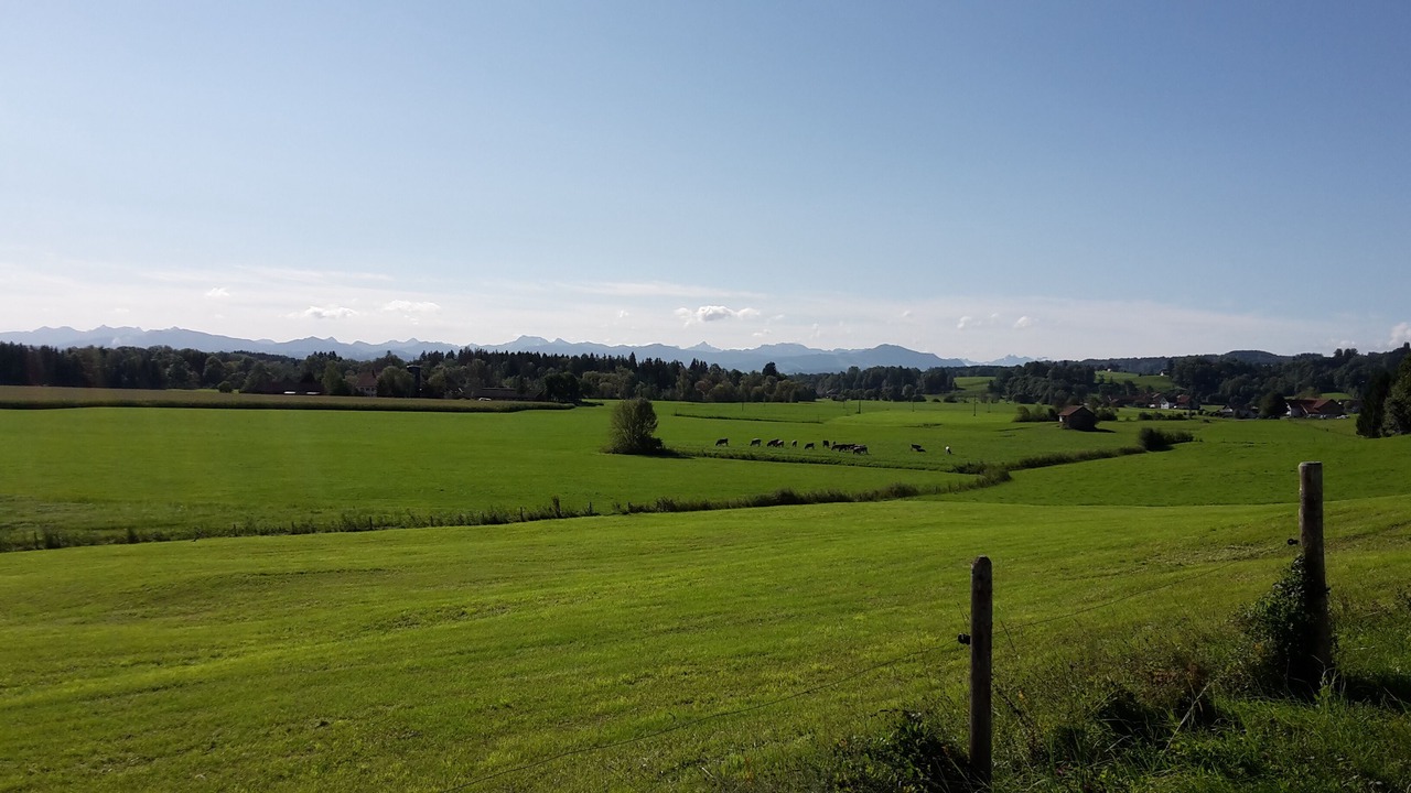Photo of Others in Altusried