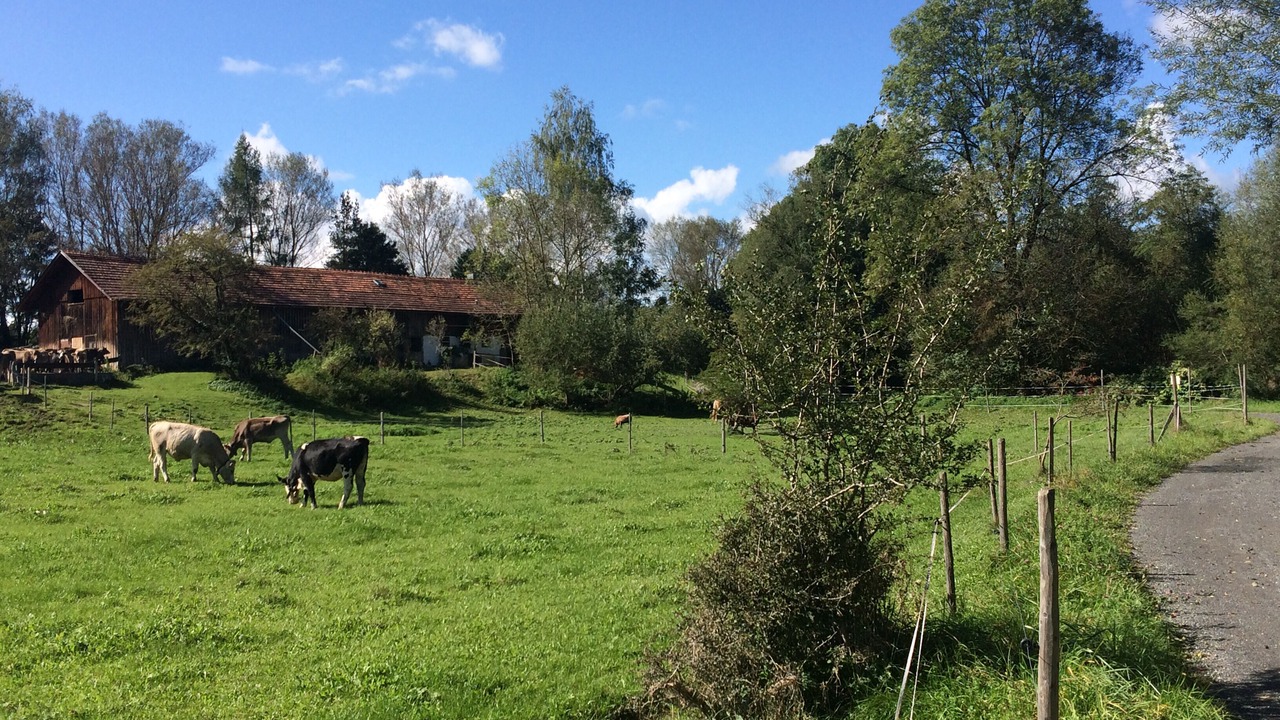 Photo of Outdoor in Altusried