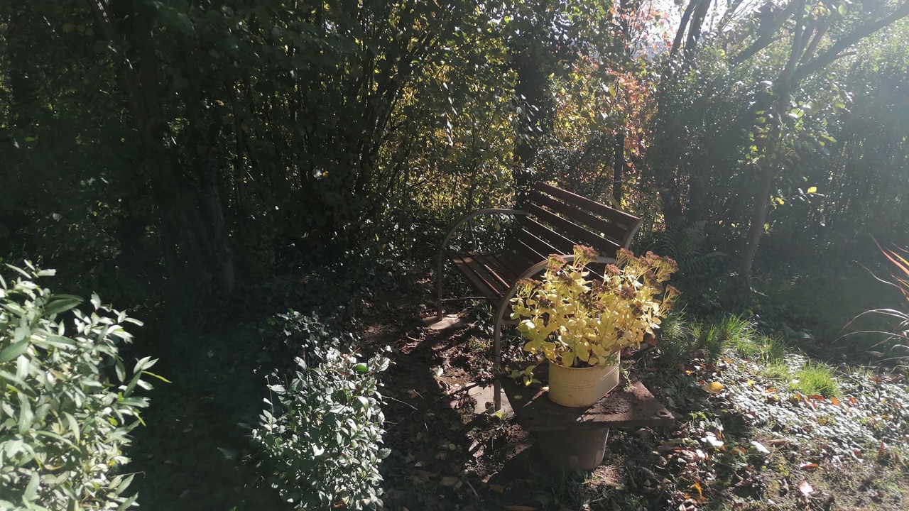 Photo of Outdoor in Elsenfeld