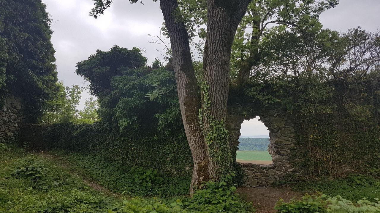 Photo of Outdoor in Muhlhausen