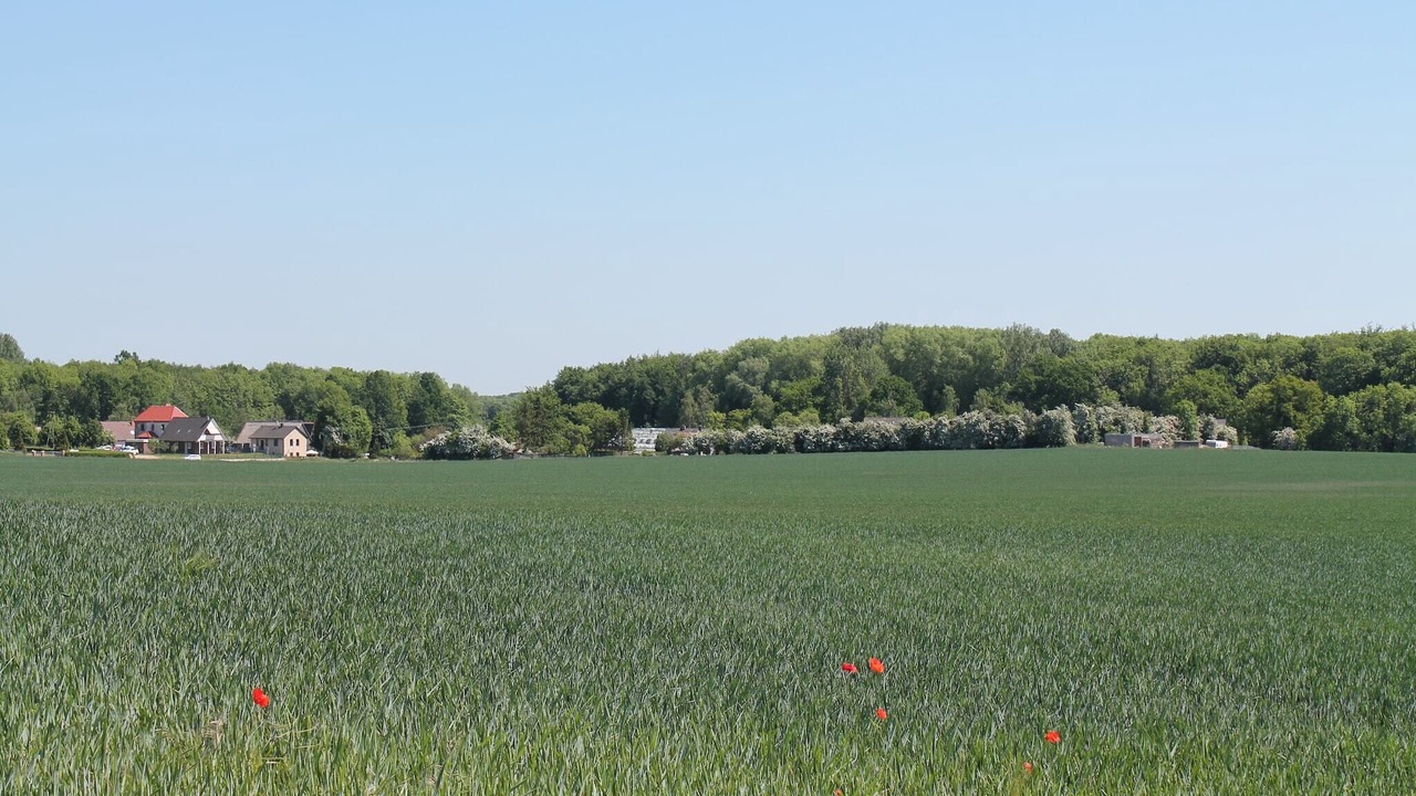 Photo of Others in Redewisch