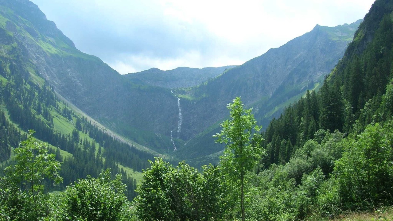 Photo of Others in Tannheim