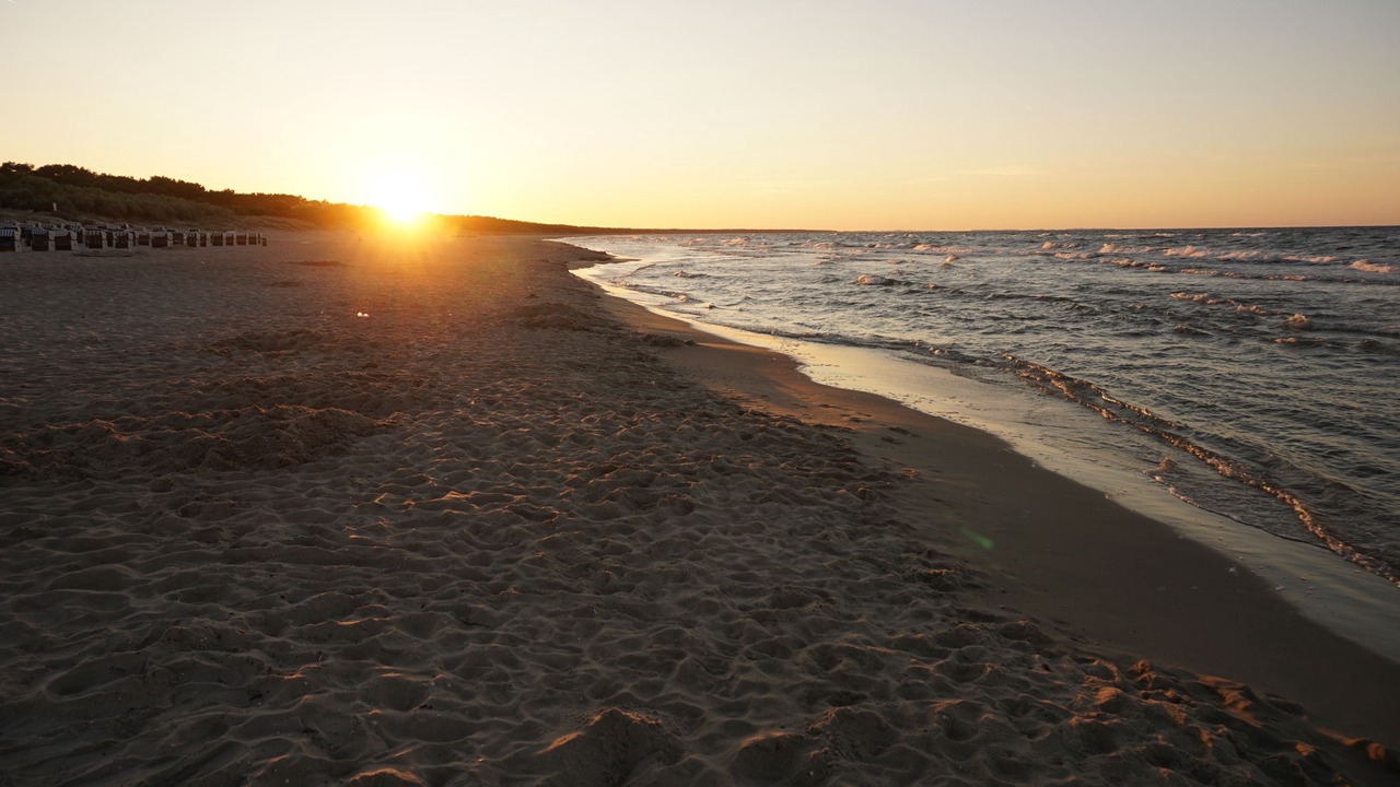 Photo of Others in Trassenheide