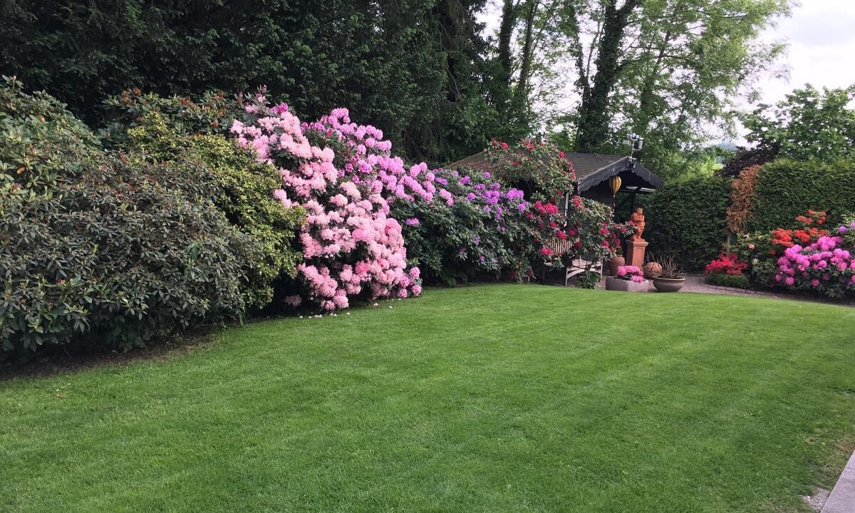 Photo of Outdoor in Bad Sassendorf